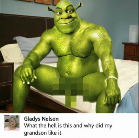 Nice Shrek meme - 9GAG