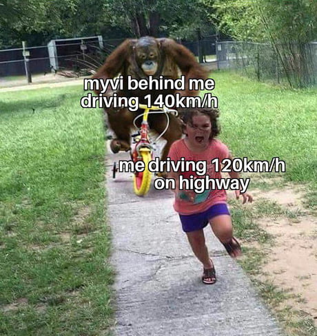 run for your life meme