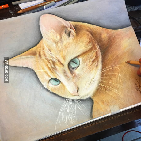 fabercastell_india #colour4life Presenting Final Colour Pencil Drawing ✍️ .  When I began drawing this artwork, We spotted a kitty at our… | Instagram