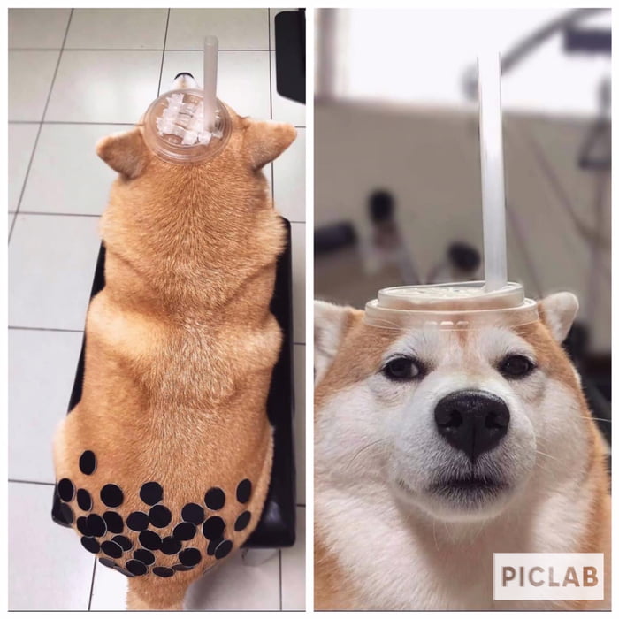 " Bubble tea"Halloween costume for my buddy and his face like " i am a