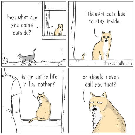 IF THE ANIMALS TALK 