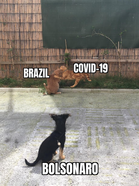 Ljiranaide memes. Best Collection of funny Ljiranaide pictures on iFunny  Brazil