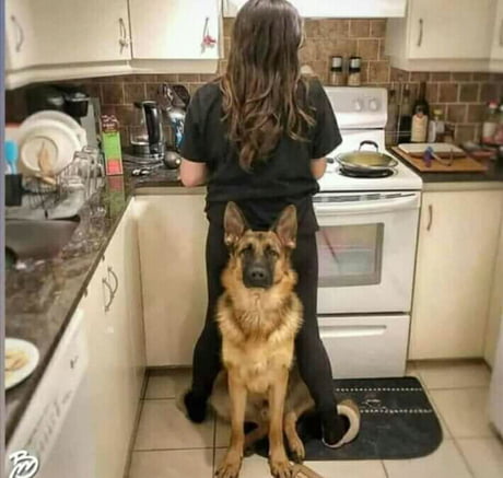 After having an argument with a wife
