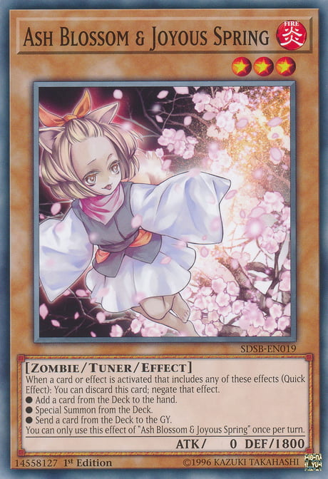 yu gi oh duel links plant deck THE UR-DRAGON ANIME WAIFU COMMANDER DECK – PREMIUM COLLECTOR SET –  GalaxyDeck main image 0