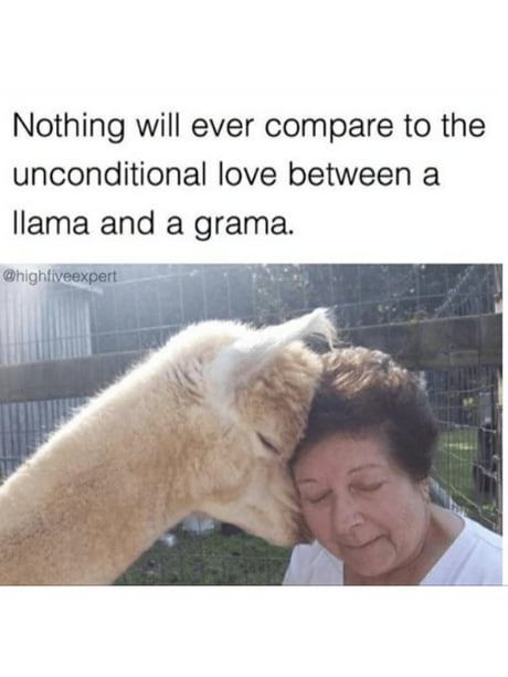 Llama and grama