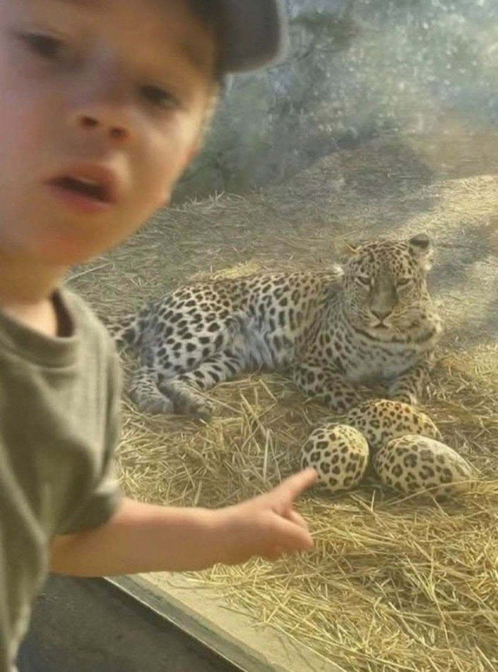 ‎ ‎ ‎ ‎ ‎ ‎ ‎ ‎ ‎ ‎