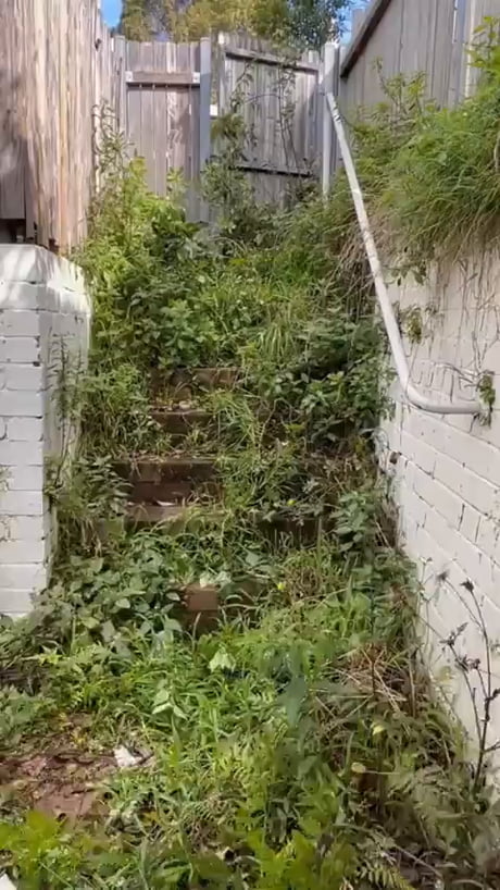 The ultimate yard glow-up