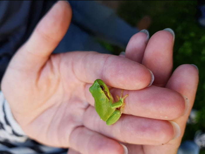 Say hello to my little friend