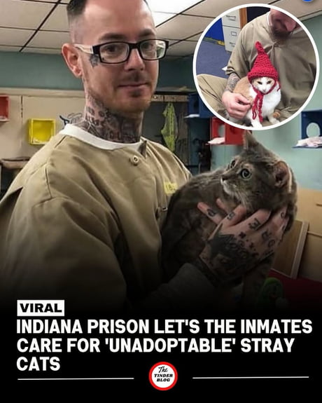 Best Funny inmates Memes - 9GAG