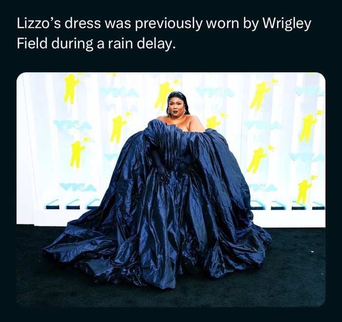 Lizzo covers the whole national - 9GAG