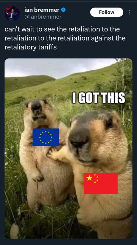 Can this stupid American government and the stupid tariffs end already
