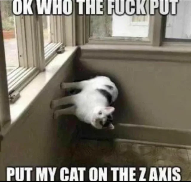 https://img-9gag-fun.9cache.com/photo/an7vQYq_700bwp.webp