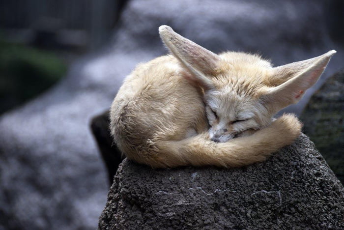 Aww soooo cute