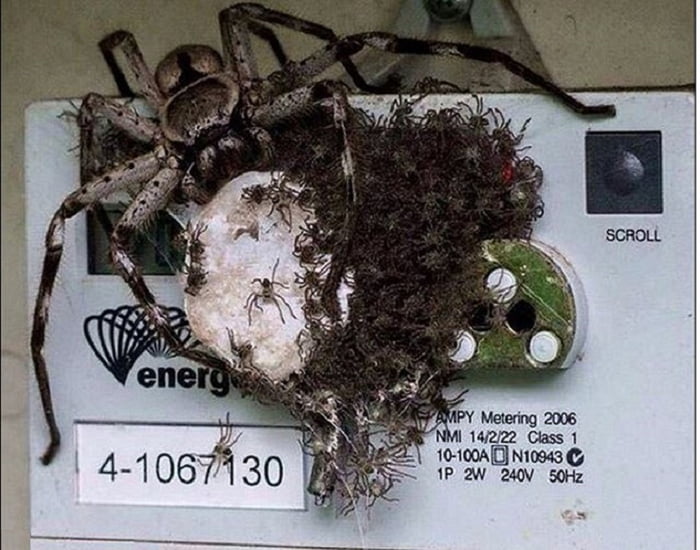 This must be the reason I'm not receiving any power bills!