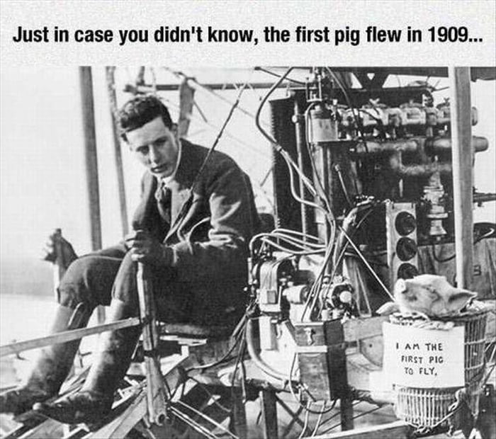 Orville wright prepares to mince his greatest rival in the race to be the first to achieve controlled flight (1902)