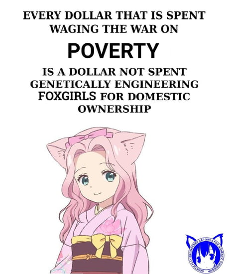 Genetically engineered catgirls for domestic ownership - 9GAG