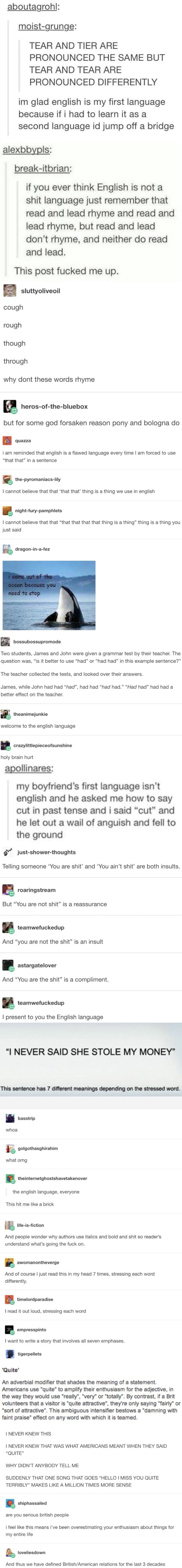English... three languages in a trenchcoat 9GAG