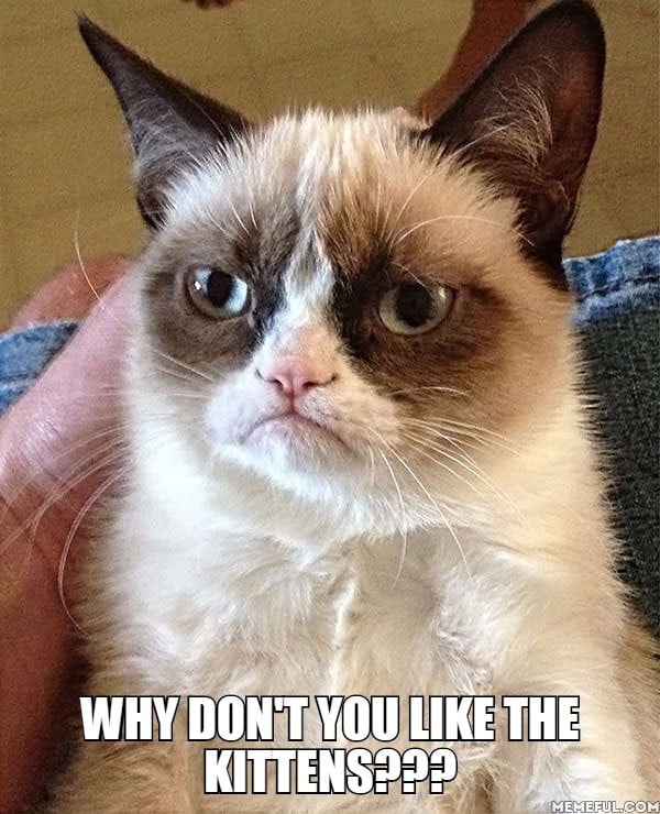 . why don't you like the kittens???