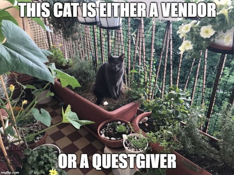 Best Funny best of garden Memes - 9GAG Best Funny best of garden Memes - 9GAG