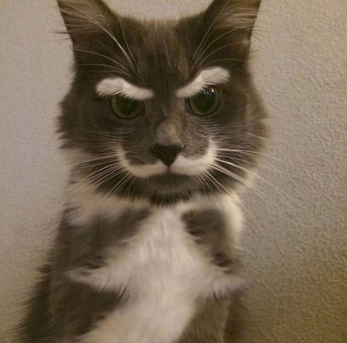 Not the OP but who does he remind you of?