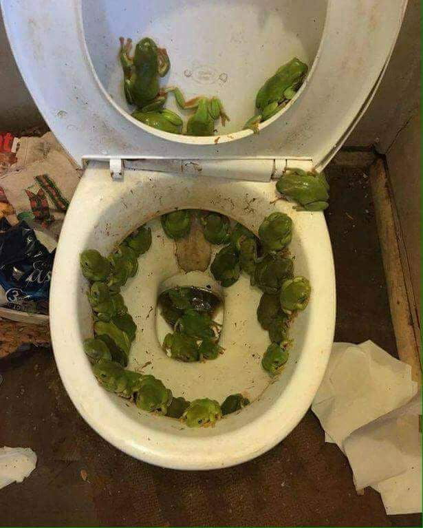 When you just need to poop...