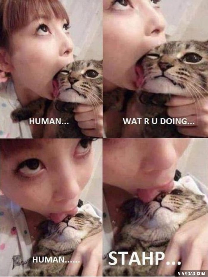 Licking Pussy