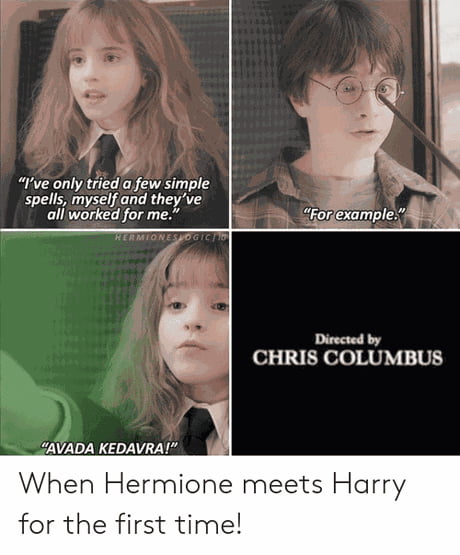 8 Hermione Memes That Sum Up Her Role In Every Harry Potter Movie