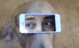 Dont Be Silly Wrap Your Willy 9gag