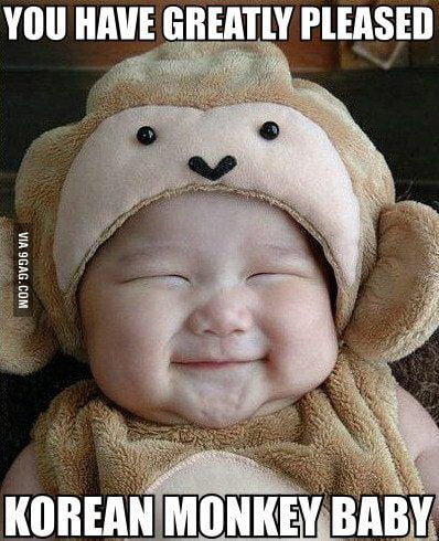 Korean Monkey Baby 9gag