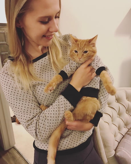 matching cat sweaters