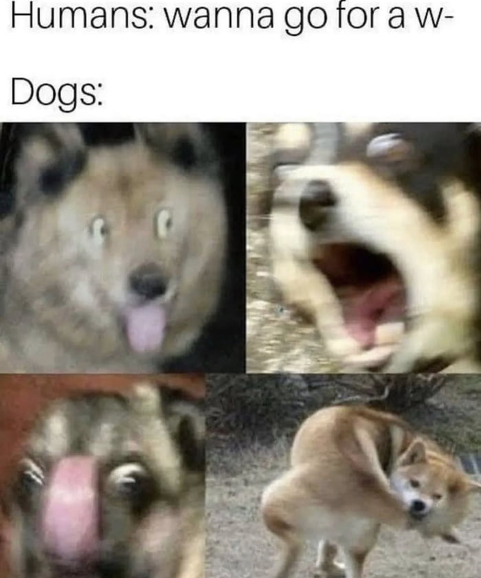 ang3x5z_700b