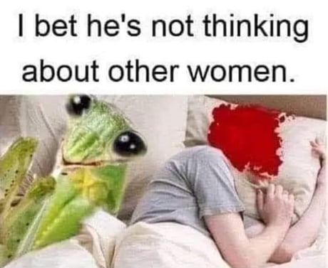angx21o_460s.jpg