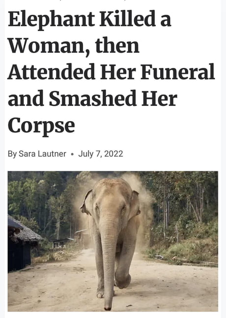 Eleanor, the Corpse Defiler