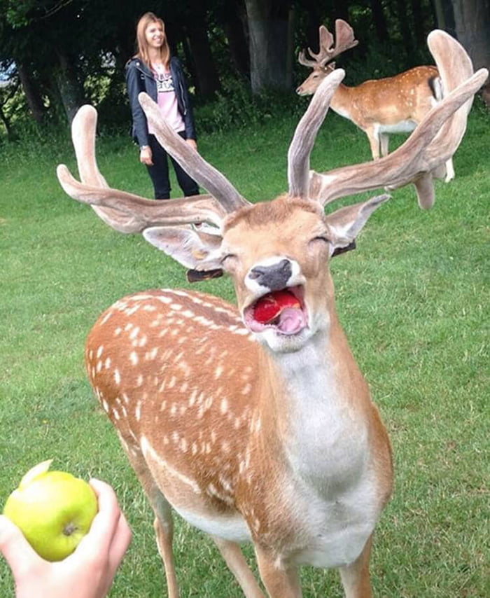mmmm-yummy-9gag