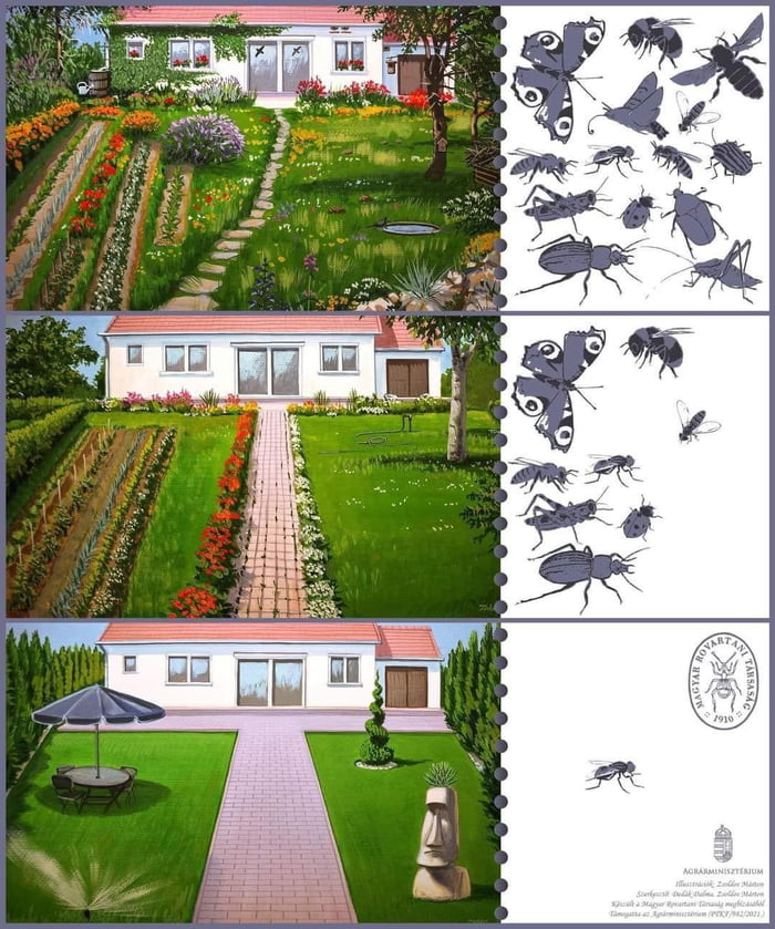 Biodiversity in the garden