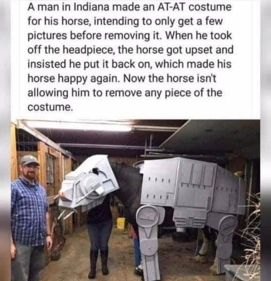 horse-wearer-of-the-at-at-9gag