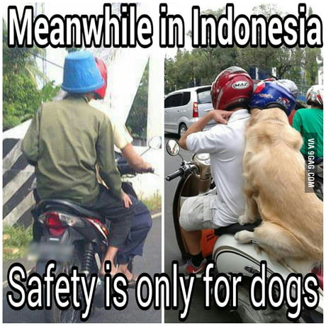 Meanwhile in Indonesia - 9GAG Meanwhile in Indonesia - 9GAG
