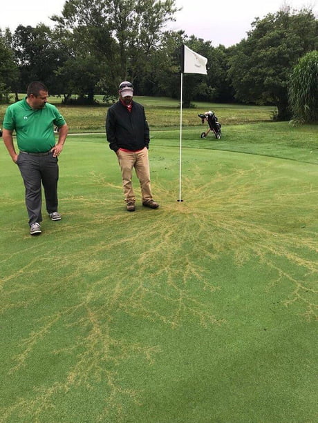 What happens when lightning strikes a flag on a golf course