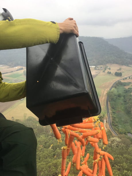 Us Soldiers Dropping Agent Orange Vietnam 1969 9gag