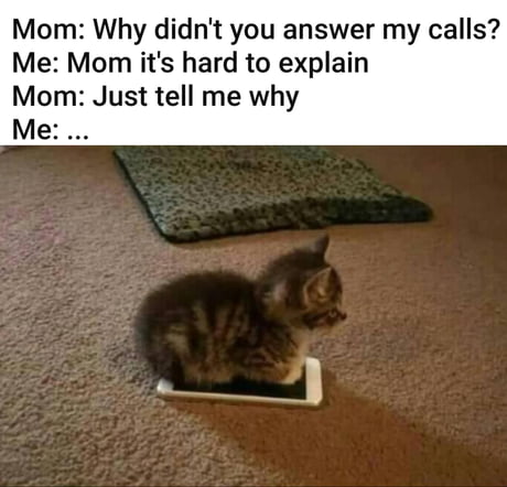 What is more important? Calling your mom or pussy...