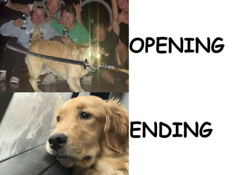 Anime Openings And Endings