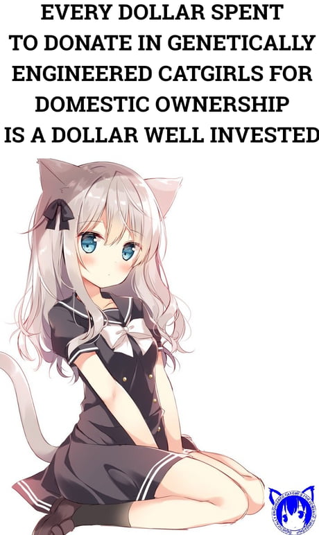 Daily catgirl apreciation post #15 - 9GAG, catgirls for domestic ownership  