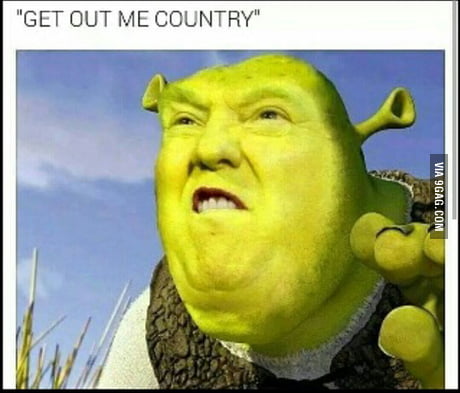 Derp Shrek meme | Poster