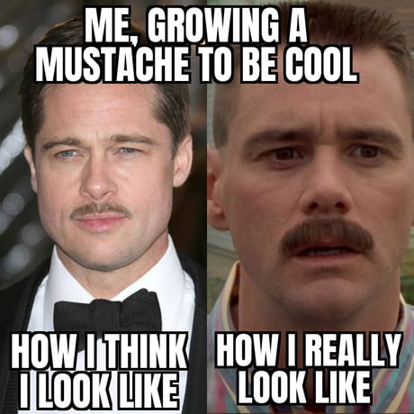 funny moustache meme