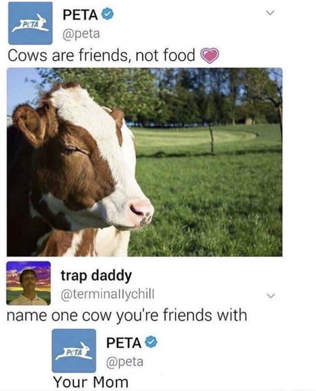 Cow Meme Once