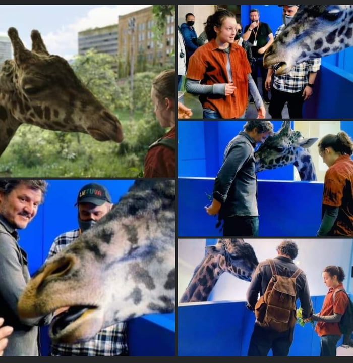 NO JOKE, THE SOCIAL NETWORKS WERE FILLED WITH COMPLAINTS FOR `THE TERRIBLE CGI OF THE GIRAFFE`. there will always be morons who complain for free