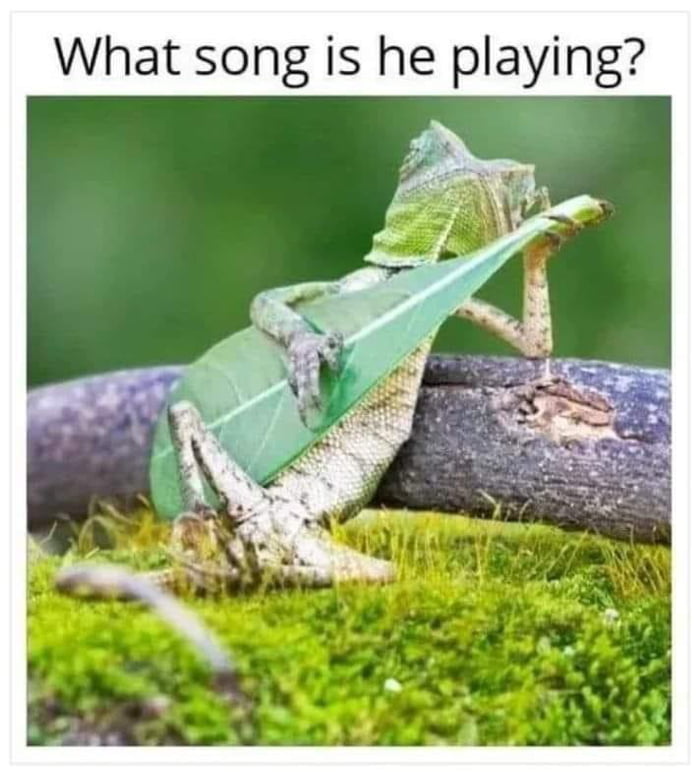 name-that-tune-9gag