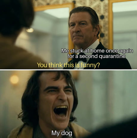 Here We Go Again 9gag