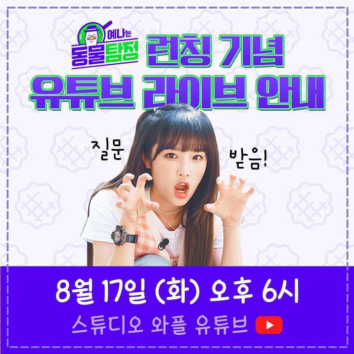 Photo : 210814 Choi Yena will be doing a YouTube live on Studio Waffle’s official YouTube channel on Aug 17, 6 PM KST for Yena’s Animal Detective