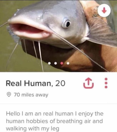 I think I've been "catfished"